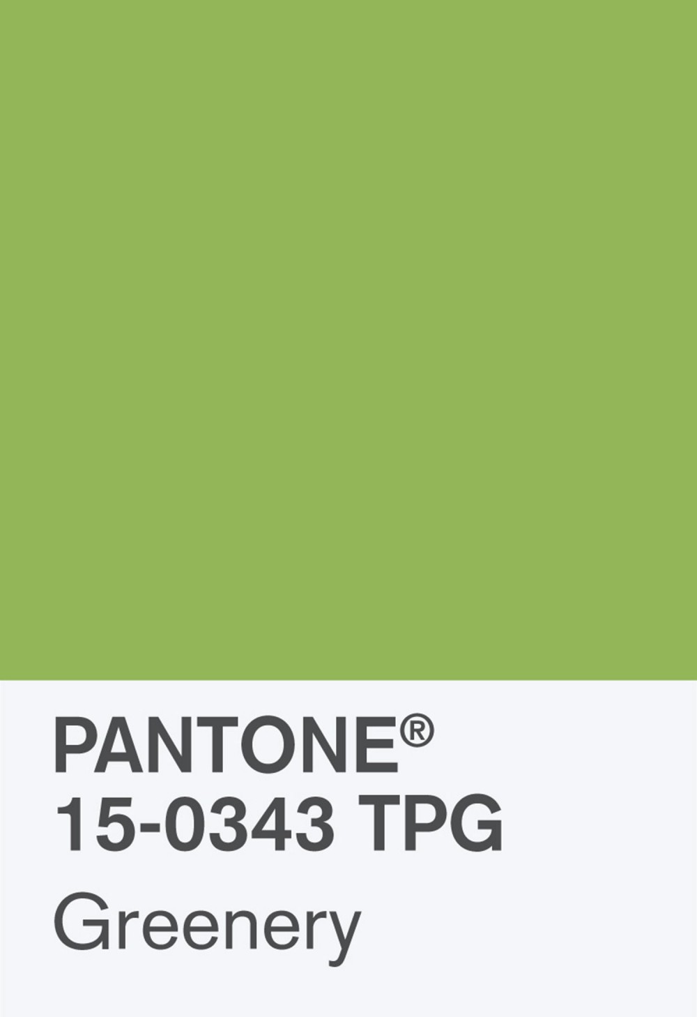 Pantone Greenery Airbnb - Daily Cappuccino - Lifestyle Blog