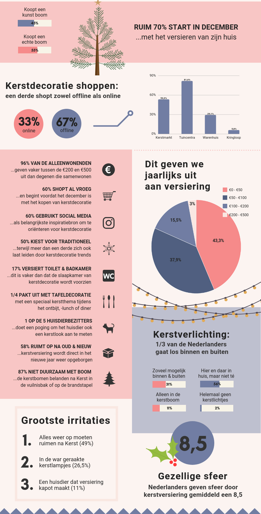 Eén vijfde Nederlanders geeft huisdier kerstlook!