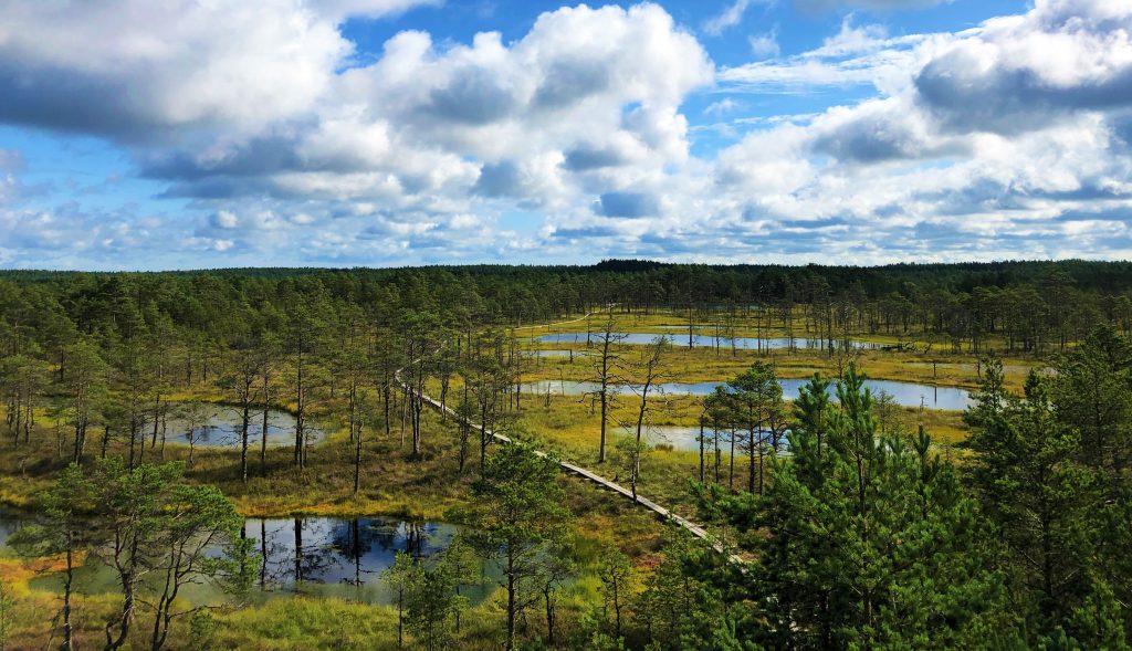 Lahemaa Natural Park