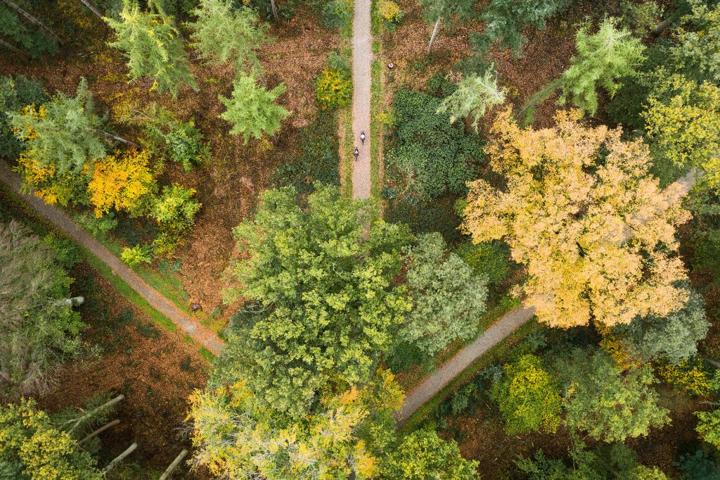 Prachtige natuur in de Achterhoek