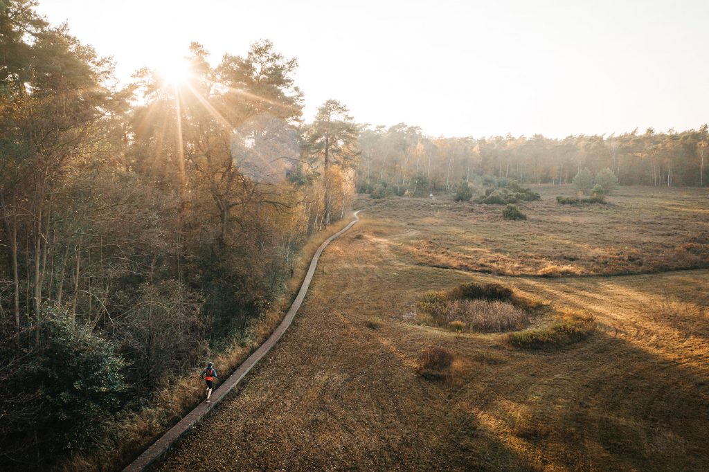 Prachtige natuur in de Achterhoek