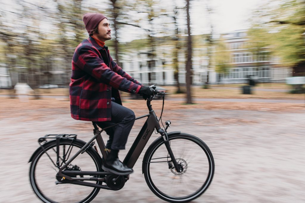 Review QWIC Premium i +Auto ebike: altijd ontspannen op de (e)fiets