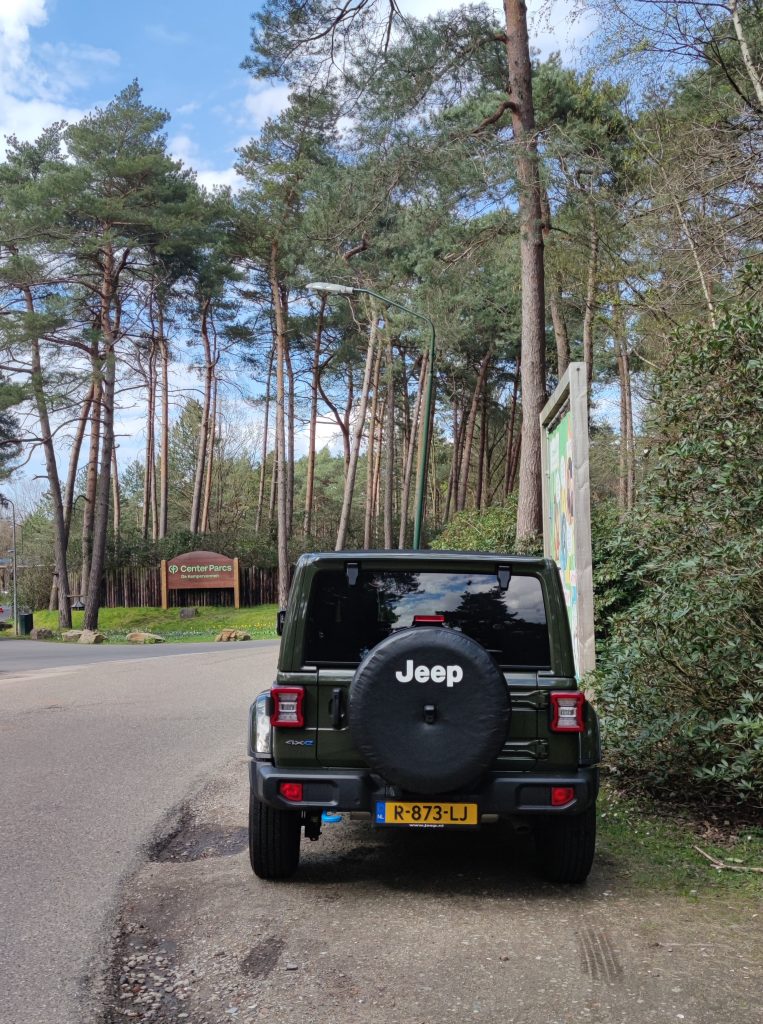 In de bossen