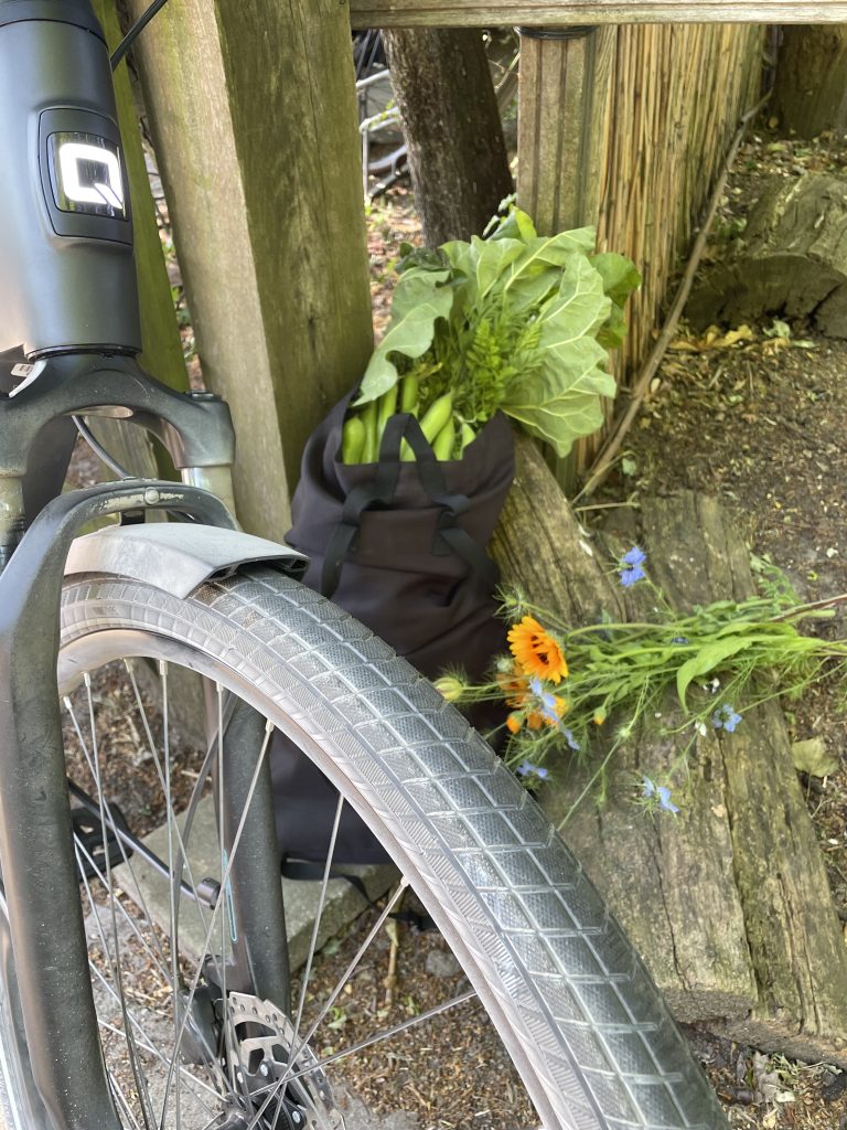 Groente ophalen bij de moestuin