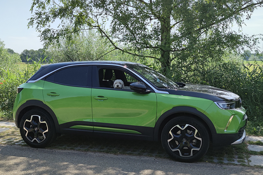 Groener rijden zonder in te leveren op stijl: de Opel Mokka Electric is groen, robuust en futuristisch