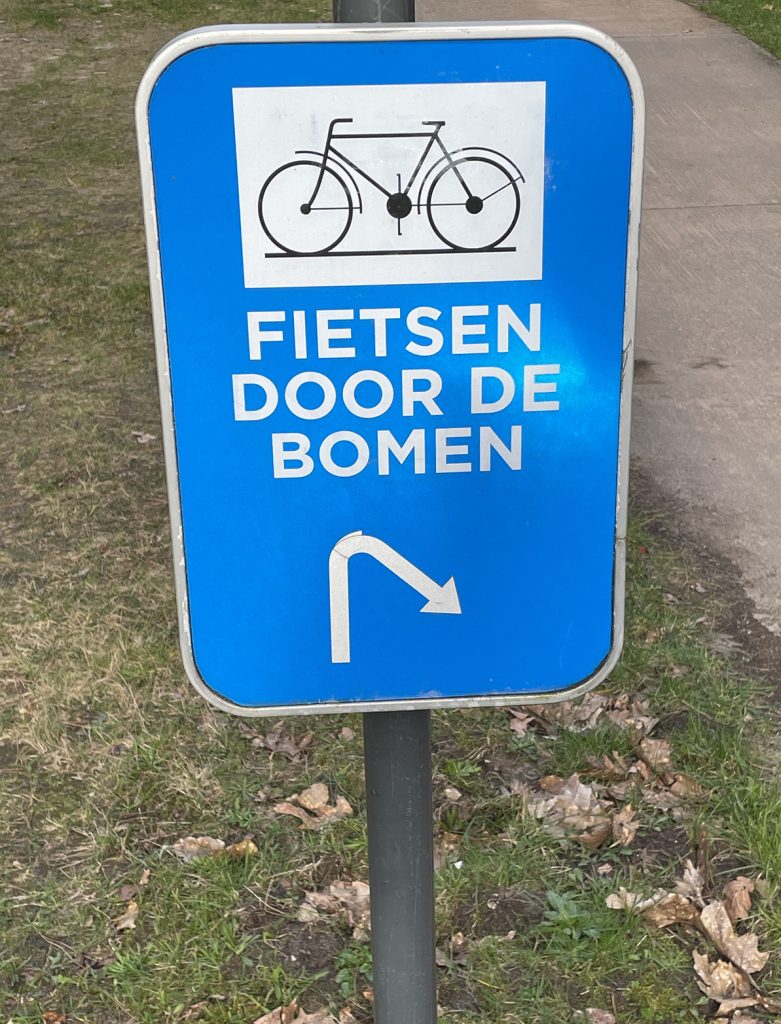 Fietsen door de bomen