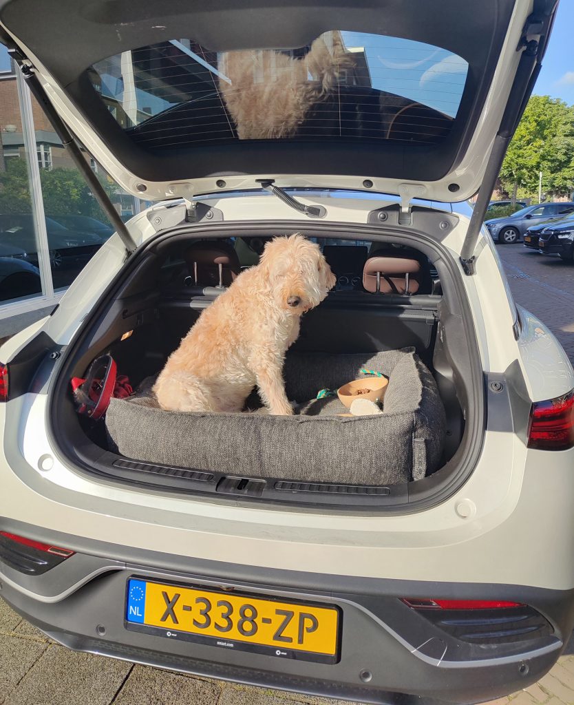 De hond past er ook perfect in...