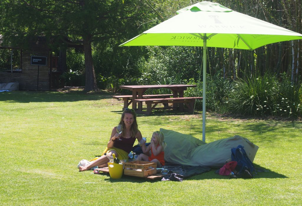 Picknicken bij een Wine Farm