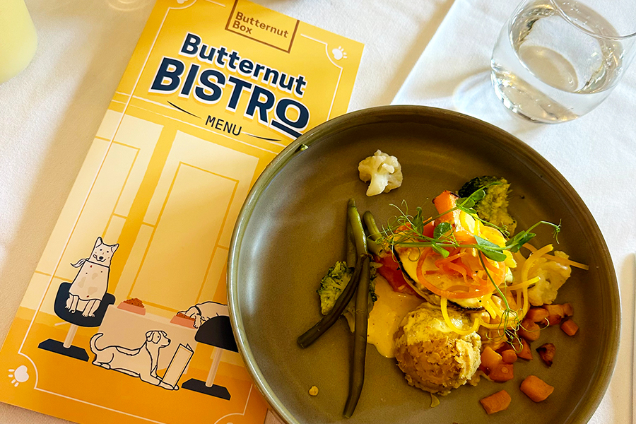 Dit weekend kan je hondenvoer eten samen met je viervoeter bij de Butternut Bistro!