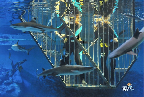deltapark-neeltje-jans_deltapark-neeltje-jans-waterpark-aquarium_9_199993