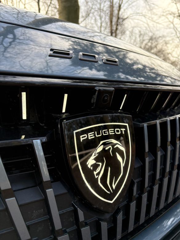 Review Peugeot E-308 SW: ruim en elektrisch zonder poeha Review Peugeot E-308 SW: ruim en elektrisch zonder poeha