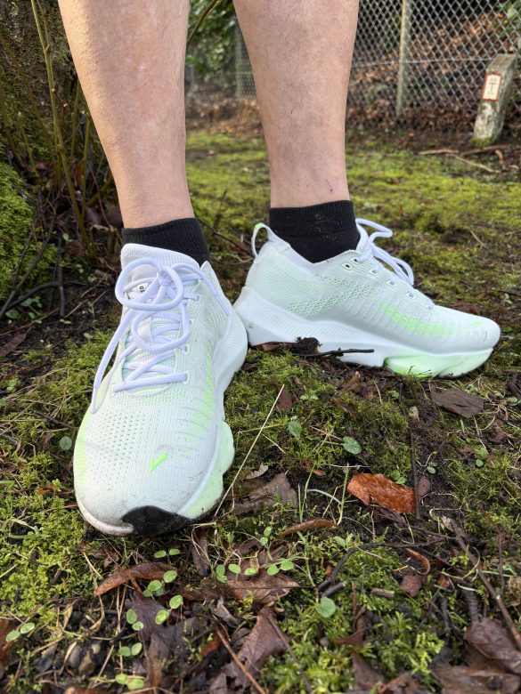 comfortabel kilometers maken. Dat bleek een ideaal moment om de nieuwe Brooks Glycerin Flex te testen.