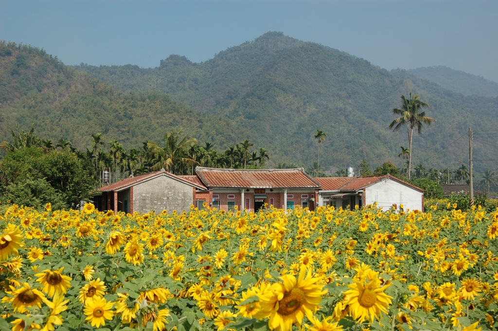 Meinong - Kaohsiung - website © Taiwan Tourism Administration
