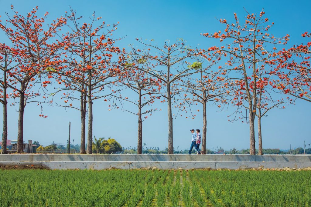 Ricefield © Taiwan Tourism Administration