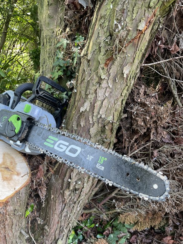 Review EGO CS1810E accukettingzaag: serieus tuingereedschap voor gewone klussers