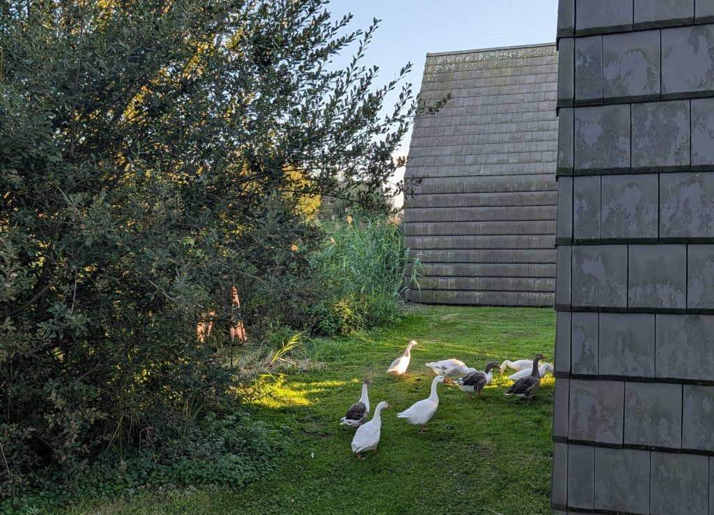 Water, wellness en monumenten; een herfstweekend aan de Reeuwijkse Plassen